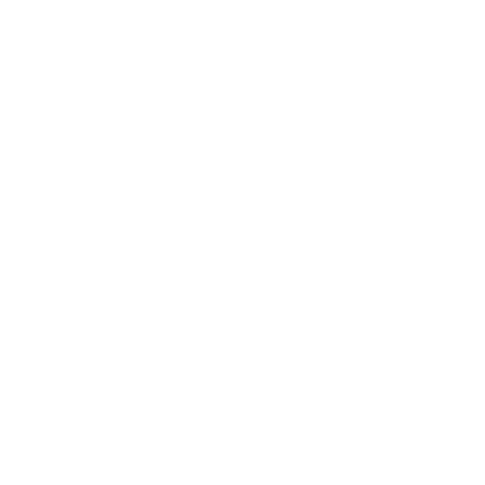 Optimum Perinatal Health